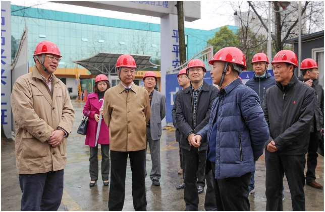 省委宣传部常务副部长房方等到“新华之星”工地实地调研
